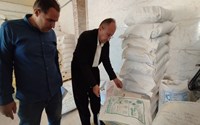گشت مشترک بازرسی از واحدهای نانوایی سردشت 